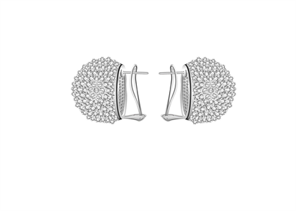 Rhodium Plated | Fashion Earrings